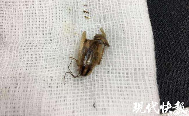 娱乐生活 第82页