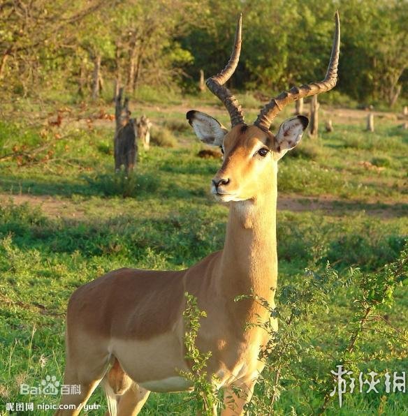 热点生活 第62页