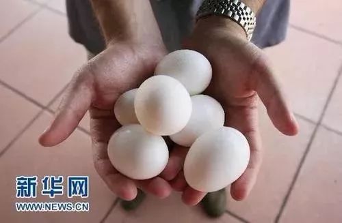 港澳新闻 第50页